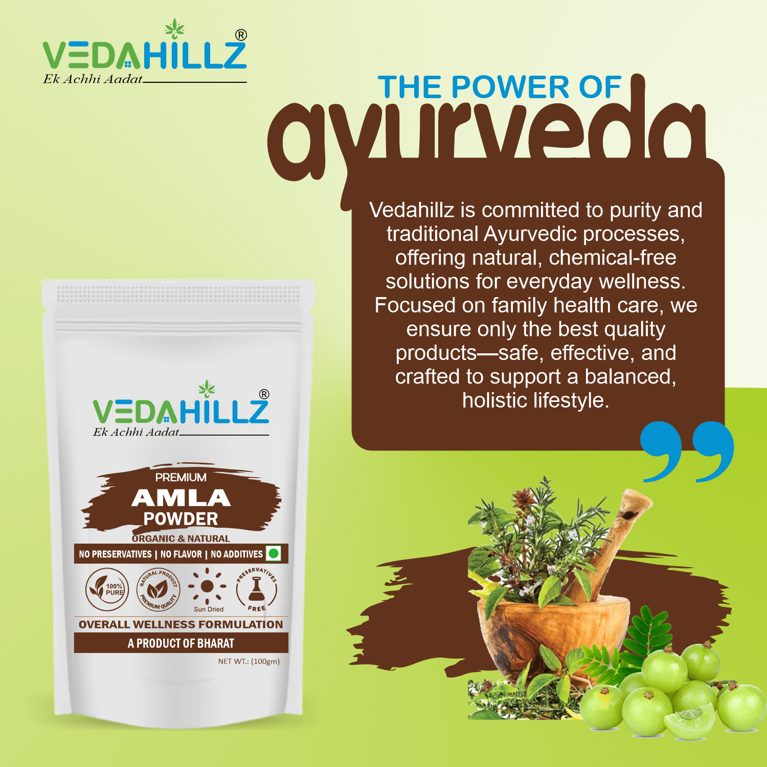 Vedahillz Amla Powder Made from Premium Quality Amla (Indian Gooseberry)
